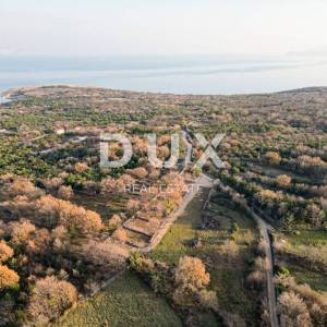 Otok Krk, Šilo -  Očišćen, ravan MASLINIK, buduće građevinsko, 600m do prekrasnih plaža, mora i supermarketa s pristupnim putem...