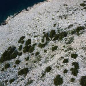 OTOK PAG, DABOVI STANI - Zemljište 66500 m2