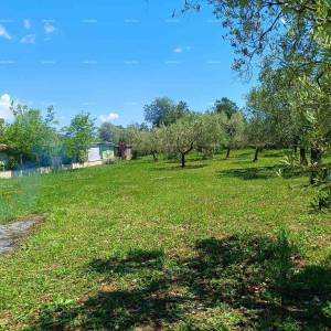 PEROJ – POLJOPRIVREDNO ZEMLJIŠTE 2.715 m² U BLIZINI MORA