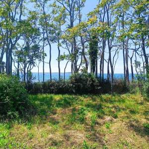 PEROJ – POLJOPRIVREDNO ZEMLJIŠTE 2.715 m² U BLIZINI MORA