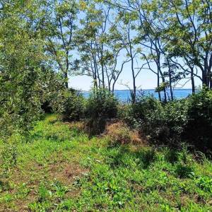 PEROJ – POLJOPRIVREDNO ZEMLJIŠTE 2.715 m² U BLIZINI MORA
