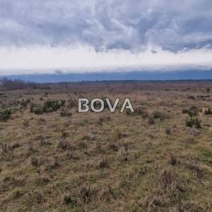 Poljoprivredno zemljište 3300 m2 – Grbe *Pravilan oblik* (ID-2600/E)