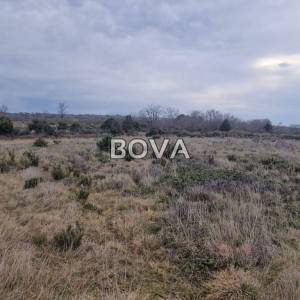 Poljoprivredno zemljište 3300 m2 – Grbe *Pravilan oblik* (ID-2600/E)