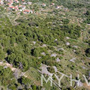 Poljoprivredno zemljište s 146 maslina