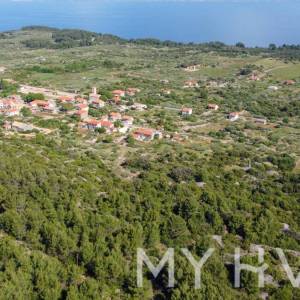 Poljoprivredno zemljište s 146 maslina