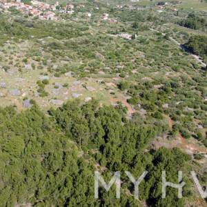 Poljoprivredno zemljište s 146 maslina