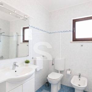 Poreč, prizemnica s bazenom blizu mora s 3 spavaće sobe