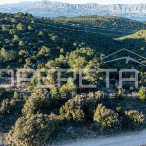 Povlja, Povlja, 5.381,00 m2, 53.810,00 EUR