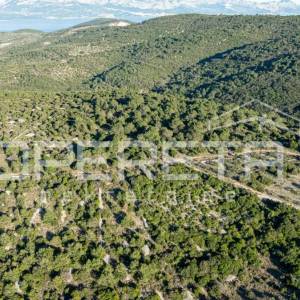 Povlja, Povlja, 7.647,00 m2, 76.470,00 EUR