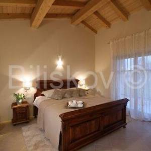 Prodaja, Jurišići, samostojeća vila površine 400m2, bazen, konoba