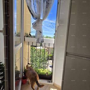 PULA, VIDIKOVAC, RENOVIRAN STAN 52 m²