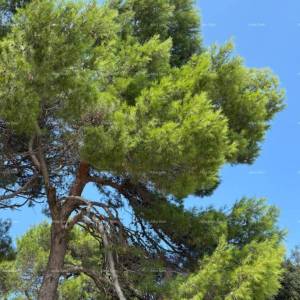 ROVINJ - prodaja stana u luksuznoj rezidenciji uz more / S11