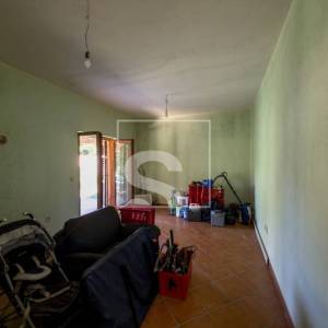 Samostojeća kuća, Galižana – maslinik, 1369 m² okućnice, potpuni mir i privatnost, 6 soba + 5 kupatila