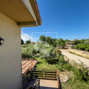 Samostojeća kuća, Galižana – maslinik, 1369 m² okućnice, potpuni mir i privatnost, 6 soba + 5 kupatila