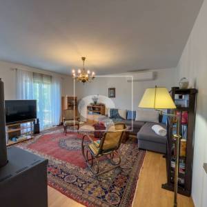 Samostojeća kuća, Galižana – maslinik, 1369 m² okućnice, potpuni mir i privatnost, 6 soba + 5 kupatila