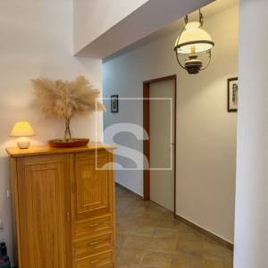 Samostojeća kuća, Galižana – maslinik, 1369 m² okućnice, potpuni mir i privatnost, 6 soba + 5 kupatila
