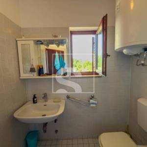Samostojeća kuća, Galižana – maslinik, 1369 m² okućnice, potpuni mir i privatnost, 6 soba + 5 kupatila