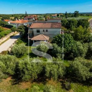 Samostojeća kuća, Galižana – maslinik, 1369 m² okućnice, potpuni mir i privatnost, 6 soba + 5 kupatila