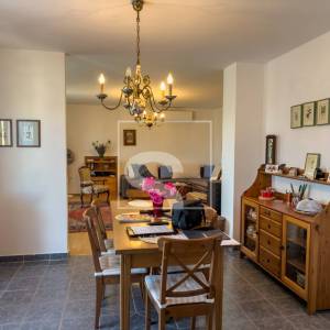 Samostojeća kuća, Galižana – maslinik, 1369 m² okućnice, potpuni mir i privatnost, 6 soba + 5 kupatila