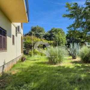 Samostojeća kuća, Galižana – maslinik, 1369 m² okućnice, potpuni mir i privatnost, 6 soba + 5 kupatila