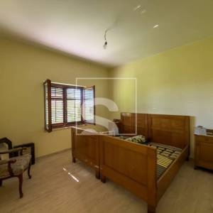 Samostojeća kuća, Galižana – maslinik, 1369 m² okućnice, potpuni mir i privatnost, 6 soba + 5 kupatila