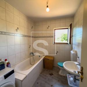 Samostojeća kuća, Galižana – maslinik, 1369 m² okućnice, potpuni mir i privatnost, 6 soba + 5 kupatila