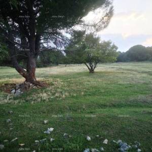 SVETI MARTIN, GRAĐEVINSKO ZEMLJIŠTE 1.031 m² S GRAĐEVINSKOM DOZVOLOM