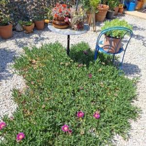 TAR –STAN 75 m² S VRTOM