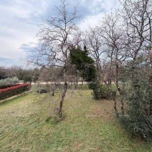 UMAG, kuća s prostranim dvorištem
