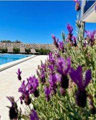VODICE - MODERNA VILA S BAZENOM I PANORAMSKIM POGLEDOM