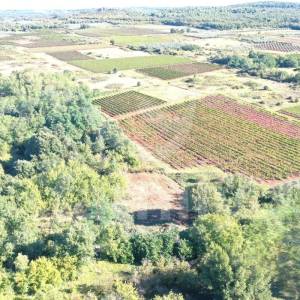 ATRAKTIVNO GRAĐEVINSKO ZEMLJIŠTE SA POGLEDOM NA VINOGRADE