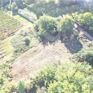 ATRAKTIVNO GRAĐEVINSKO ZEMLJIŠTE SA POGLEDOM NA VINOGRADE