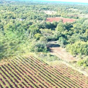 ATRAKTIVNO GRAĐEVINSKO ZEMLJIŠTE SA POGLEDOM NA VINOGRADE