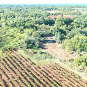 ATRAKTIVNO GRAĐEVINSKO ZEMLJIŠTE SA POGLEDOM NA VINOGRADE