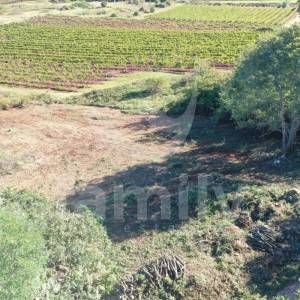 ATRAKTIVNO GRAĐEVINSKO ZEMLJIŠTE SA POGLEDOM NA VINOGRADE