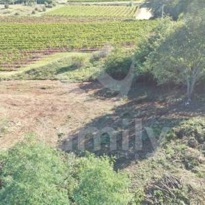 ATRAKTIVNO GRAĐEVINSKO ZEMLJIŠTE SA POGLEDOM NA VINOGRADE