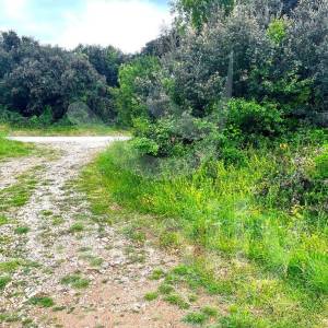 ATRAKTIVNO GRAĐEVINSKO ZEMLJIŠTE-TURISTIČKE NAMJENE 300 M OD MORA