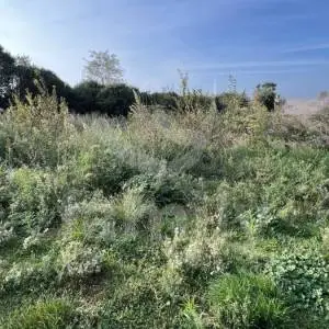 ATRAKTIVNO GRAĐEVINSKO ZEMLJIŠTE NA MIRNOJ LOKACIJI