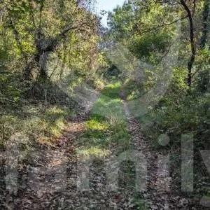 ATRAKTIVNO I VELIKO POLJOPRIVREDNO ZEMLJIŠTE SA ŠIROKIM PRISTUPNIM PUTEM