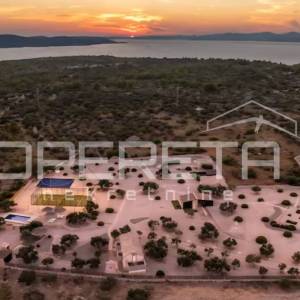 Brač, Milna - imanje na 10 000 m2, investicijska prilika