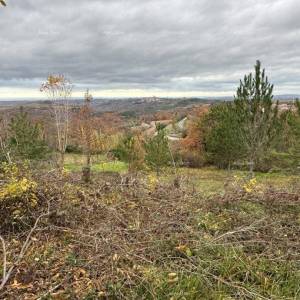 BUJE – GRAĐEVINSKO ZEMLJIŠTE 990 m²