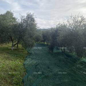 Cerovlje, građevinsko zemljište površine 1.575 m²