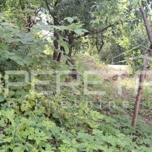 Črnomerec, 85m2, 4-soban, terasa 80 m2, vrt i voćnjak 300m2, garaža 20 m2
