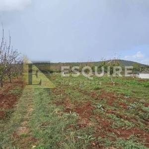 DEBELJAK - Građevinsko zemljište - 870m2
