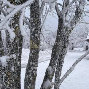 DELNICE Kuća za odmor na parceli od 2700m2