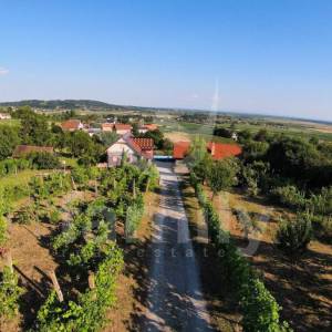 DVIJE HRASTOVE KUĆE, BAZEN, VINOGRAD I VOĆNJAK