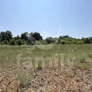 EKSKLUZIVNO IZNIMNO PROSTRANA ŠUMA U KRNICI