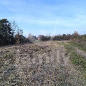 EKSKLUZIVNO ZEMLJIŠTE NA RUBU URBANIZACIJE NEDALEKO OD CENTRA