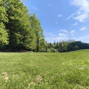 Gorski kotar, Bosanci, zemljište 1.593m2, građevinski + poljoprivredni dio
