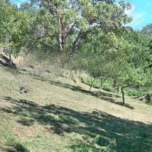 GORSKI KOTAR, SKRAD - Kuća s većom okućnicom